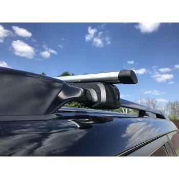 Багажник на крышу  для автомобиля с продольными рейлингами Titan